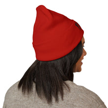 Load image into Gallery viewer, # 2025 - LOGO Embroidered Classic Cuffed Beanie - Raven Base Logo
