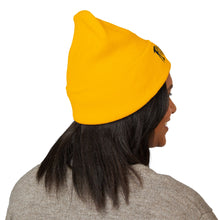 Load image into Gallery viewer, # 2025 - LOGO Embroidered Classic Cuffed Beanie - Raven Base Logo
